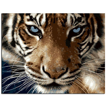 Рамка DIY картина по номерам Тигр Животные картина по номерам ручная роспись маслом для домашнего декора настенная художественная картина