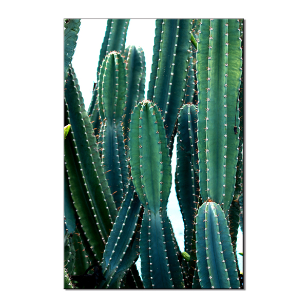 Digital oil painting manual color filling diy production can be customized printing logo, a large number of excellent,