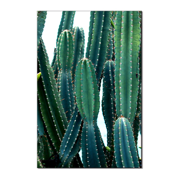 Digital oil painting manual color filling diy production can be customized printing logo, a large number of excellent,