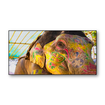 Modern Animal Giclees Prints Elephant Canvas Painting Colour Big Wall Art Custom Framed Oil Painting Indian Poster for home Dec Modern Animal Giclees Prints Elephant Canvas Painting Colour Big Wall Art Custom Framed Oil Painting Indian Poster for home Dec