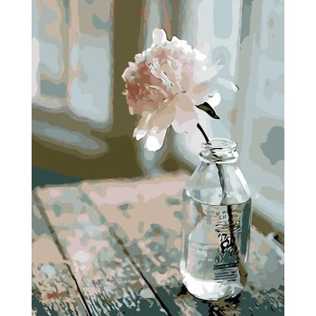 Cuadro de flores de ventana Diy pintura digital por números imagen de arte de planta hecha a mano pintura al óleo de flores para arte de pared del hogar