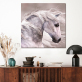 Animals Wall Art Poster Print  horse Canvas Paintings for Living Room Kid Room pictures Decor