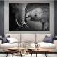 Оптовая продажа на заказ новый черно-белый плакат с изображением слона, другие настенные картины, искусство на холсте