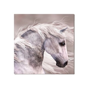 canvas print animal oil painting for dinning room home hotel cafe Wall Decoration