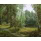 Digital oil painting manual color filling diy production can be customized printing logo