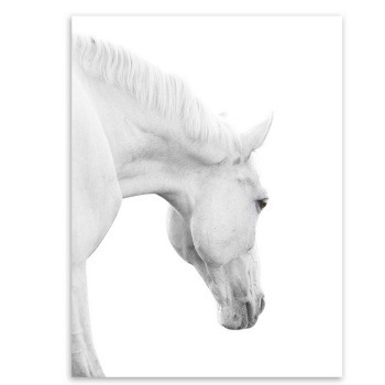Tríptico foto de cabeza de caballo blanco moderno cartel A4 impresión de animales cuadro de pared decoración nórdica para el hogar lienzo pintura sin marco regalo