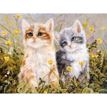 Factory Direct Sale Variety Of Styles DIY Digital Painting For Kids,Adults Paint by Number Kits Drawing on Canvas Home Decor