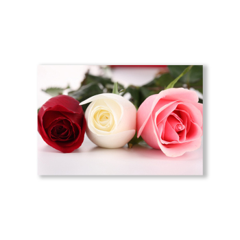 Elegant rose canvas printed decorative painting for living room and bedroom