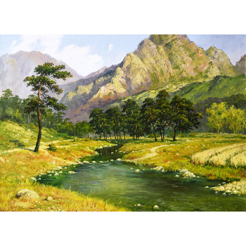 Digital oil painting custom amazon cross-border hair Nordic decorative painting hand diy color painting