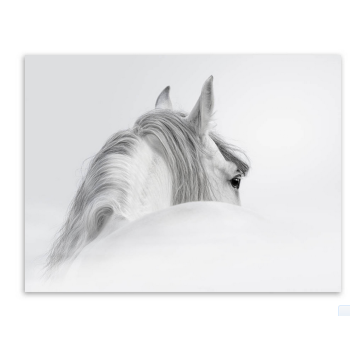 Triptych Modern White Horse Head Photo A4 Poster Impression Animals Wall Picture Nordic Home Decor Canvas Painting No Frame Gift Triptych Modern White Horse Head Photo A4 Poster Impression Animals Wall Picture Nordic Home Decor Canvas Painting No Frame Gift