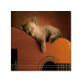 canvas print animal oil painting for dinning room home hotel cafe Wall Decoration