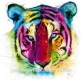 art paintings on canvas animal tiger Decorative Art For Living Room