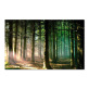 Home decoration spring scenic tree design printed painting, trendy style high definition canvas wall painting