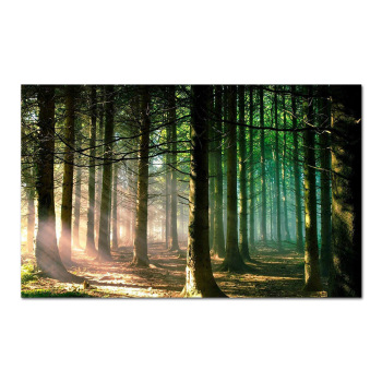 Home decoration spring scenic tree design printed painting, trendy style high definition canvas wall painting Home decoration spring scenic tree design printed painting, trendy style high definition canvas wall painting