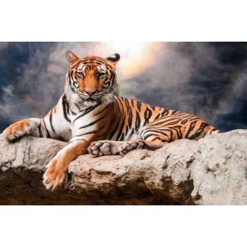 New diy digital oil painting European style beautiful life landscape flower animal decoration digital painting