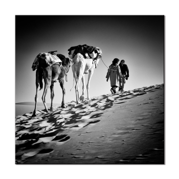 Canvas Painting Animal Wall Art Posters and Prints Wall Pictures for Living Room Decoration Home Decor