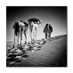 Canvas Painting Animal Wall Art Posters and Prints Wall Pictures for Living Room Decoration Home Decor