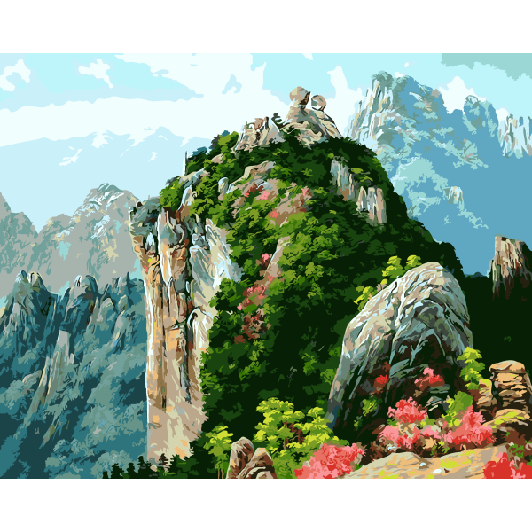DIY Paint by Numbers Adult And Kids Eco friendly Acrylic Oil Painting Kit Big 40x50cm Home Wall Decor