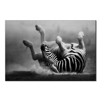 Animal Pictures Canvas Painting Modern Posters and Prints Wall Art Pictures in Living room Home Decor