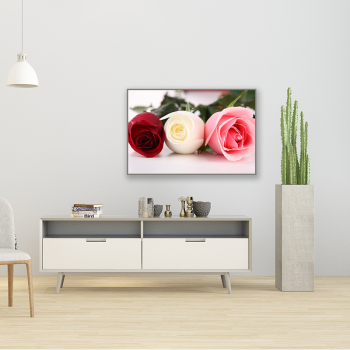 Elegant rose canvas printed decorative painting for living room and bedroom