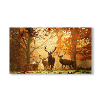 Decorative family painting, home hotal decor canvas painting, forest deer picture modern wall art painting Decorative family painting, home hotal decor canvas painting, forest deer picture modern wall art painting