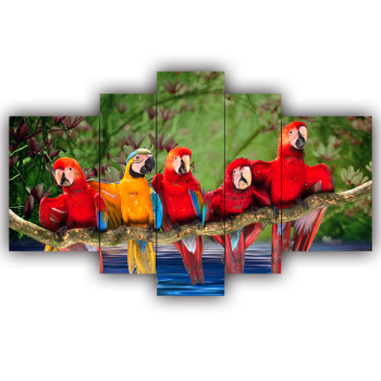 Original Five Printed Parrot Picture Custom Printing Living Room Sofa Background Canvas Decorative Painting Original Five Printed Parrot Picture Custom Printing Living Room Sofa Background Canvas Decorative Painting