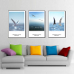 HD Seagull Poster Picture 3 Panel Modern Wall Art Canvas Printed Painting Hot Selling In AU market