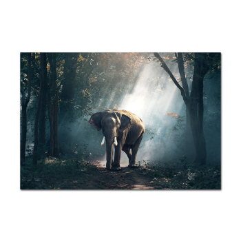 New products first impressionist paintings accessories, prints canvas custom elephant animal abstract art painting New products first impressionist paintings accessories, prints canvas custom elephant animal abstract art painting