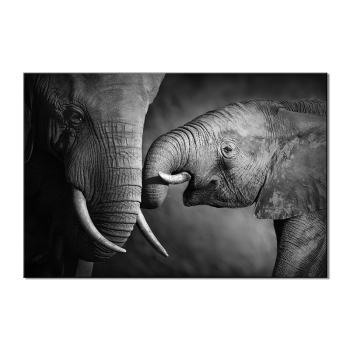 Print Black and White Africa elephant  Animals Posters Safari Nursery Wall Decor Baby Animal Kids Wall Art Canvas Painting
