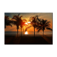 Natural Scenery Oil Painting Canvas Paint by Number DIY Painting for Adults