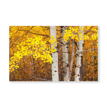 Factory wholesale yellow trees landscape picture decoration print canvas painting art decoration painting
