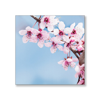painting by number flowers wholesale DIY decorative art work digital painting by number oil paint canvas painting