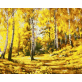 Digital oil painting manual color filling diy production can be customized printing logo, a large number of excellent,