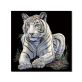 canvas print animal oil painting for dinning room home hotel cafe Wall Decoration