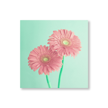 Digital oil painting manual color filling diy production can be customized printing logo Digital oil painting manual color filling diy production can be customized printing logo