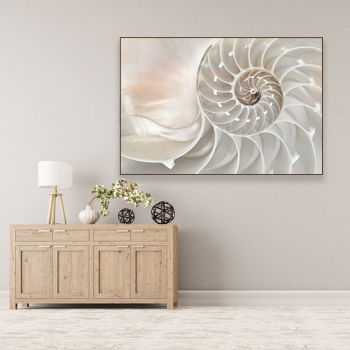 Nordic modern style OEM trumpet shell home hotel wall decoration printing canvas painting