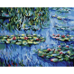 Wasserlilien Malerei Diy Digitales Malen nach Zahlen Handgemachte Pflanzenkunst Bild Blumenölgemälde für Hauptwandkunstwerk