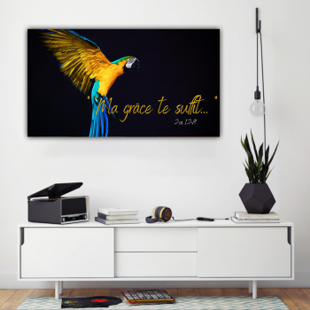 Крылья попугая HD окраска распылением гостиная диван фон мазки стены без рамки
