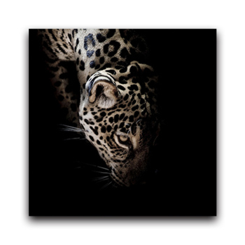 Best Quality Abstract Canvas Oil Painting Decorative Picture Framed Painting Wall