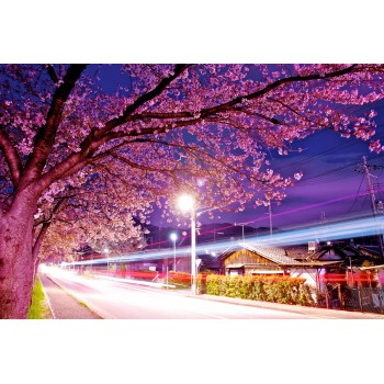 Natural Scenery Oil Painting Canvas Paint by Number DIY Painting for Adults