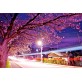 Natural Scenery Oil Painting Canvas Paint by Number DIY Painting for Adults