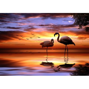 Natural Scenery Oil Painting Canvas Paint by Number DIY Painting for Adults