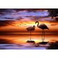 Natural Scenery Oil Painting Canvas Paint by Number DIY Painting for Adults