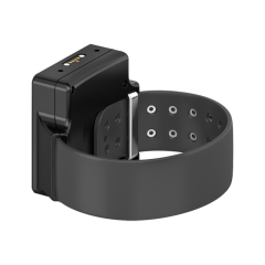 Electronic Control Device