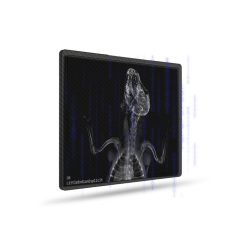 Pet DR Portable X-ray Machine with Digital Flat Panel Detector