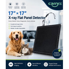Carryx 17