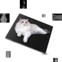 17*17 inch large flat panel detector, DR X-ray detector wired