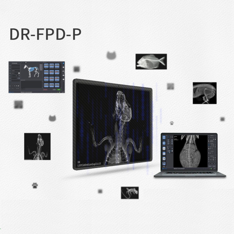 17*17 inch large flat panel detector, DR X-ray detector wired