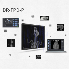 17*17 inch large flat panel detector, DR X-ray detector wired