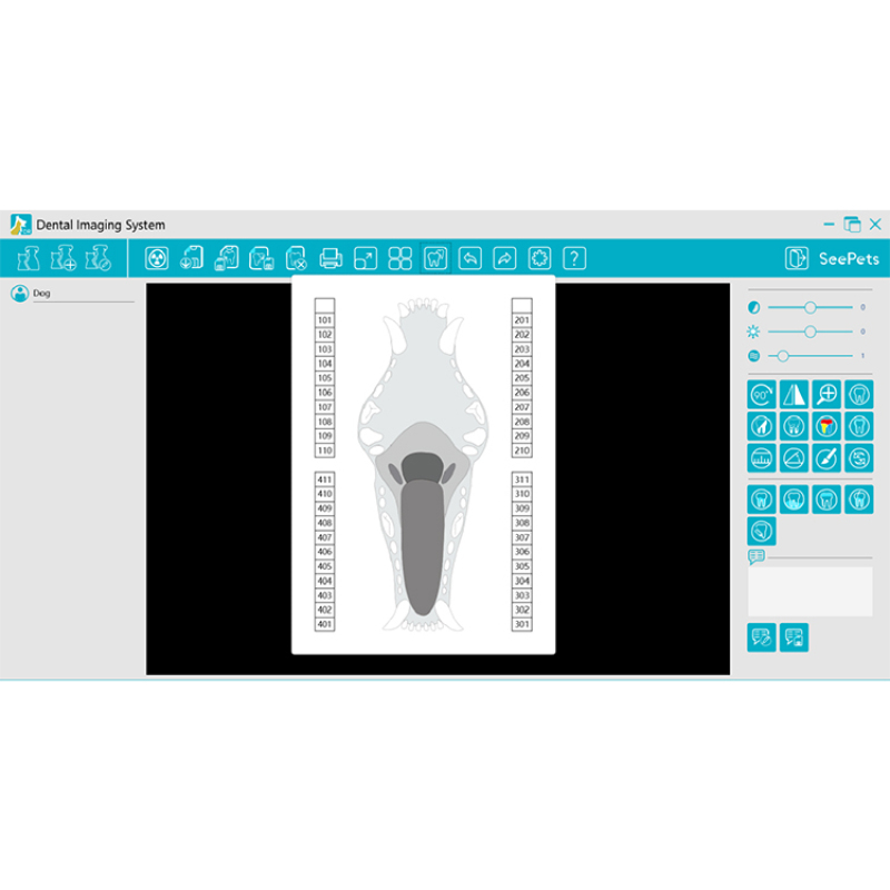 Perro gato sensor digital dental para mascotas